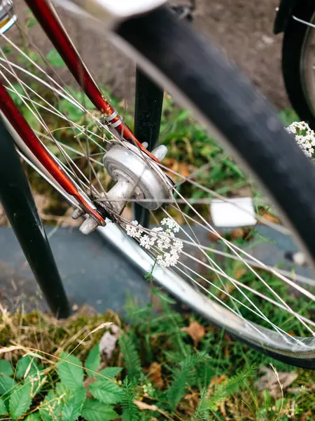 Güneşli bir günde Yeşil Yapraklı Bir Arkaplanda Çevrilmiş Yabani Çiçeklerle Bisiklet Tekerleği