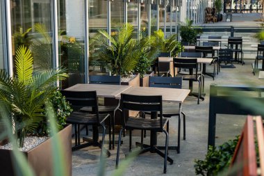 Rahatlatıcı Yemek Deneyimi İçin Modern Mobilyaları ve Saksı Bitkileriyle Büyüleyici Açık Bahçe Kafe Koltuğu