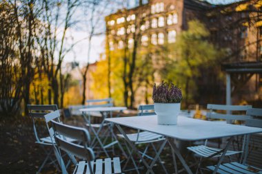 Şehir Bahçesi 'ndeki Beyaz Mobilya ve Çiçekli Saksı Fabrikası ile Büyüleyici Açık Cafe Ayarları