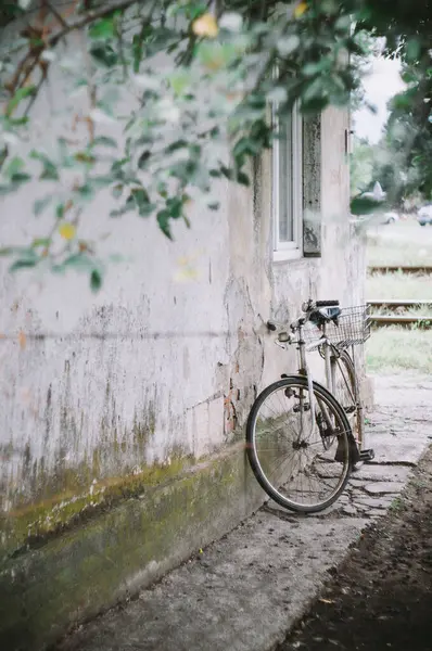 Yıpranmış Duvar 'a dayanan klasik Bisiklet Yıpranmış Yeşil Asılı Kırsal Ayarlar