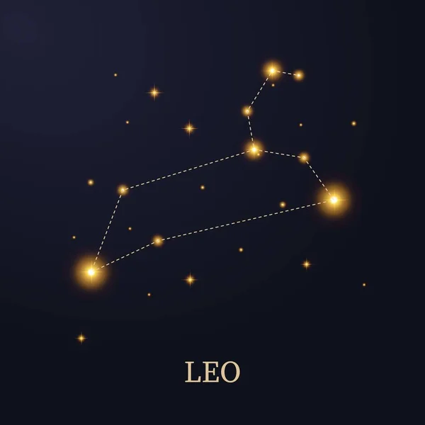 Zvěrokruhová Konstelace Leo Tmavém Pozadí Hvězdami Vektorová Ilustrace — Stockový vektor