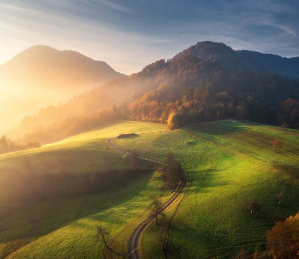 Aerial view of beautiful green hills and mountains in fog at sunrise in autumn in Slovenia. Colorful landscape with foggy alpine meadows, golden sunlight, forest at dawn in fall. Top view. Nature