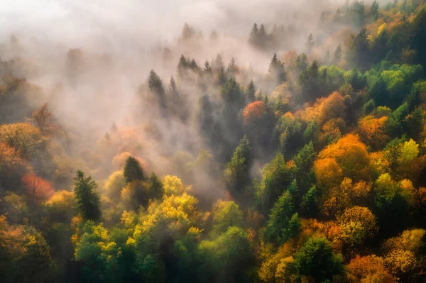 Letecký Pohled Krásný Barevný Podzimní Les Nízkých Mracích Při Východu — Stock fotografie