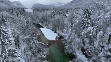 Aerial view of river and beautiful forest in snow in winter in overcast day. Top view from drone of snowy woods, steam, pine trees, alpine mountains at dusk. Travel in Bohinj, Slovenia. Nature