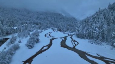 Aerial view of river in alpine mountain valley in fog and forest in snow at twilight in winter. Top view from drone of beautiful snowy woods, steam, pine trees at dusk. Travel in Triglav, Slovenia