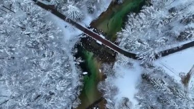 Aerial view of bridge and beautiful river in snowy forest. Winter in Bohinj, Slovenia. Top view of road, river with green water, trees in snow, houses on the shore in small village in cold evening