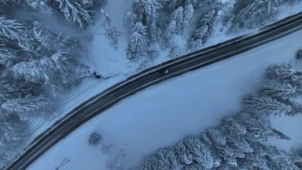 Aerial View Mountain Road Fairy Forest Snow Winter Top View — Vídeo de stock