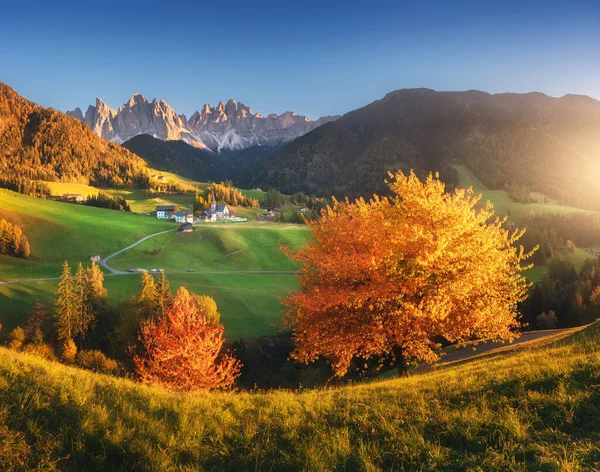 Landscape with colorful trees, village with houses, church, green meadows, rocks, blue sky at sunset in autumn in Dolomites, Italy. Santa Maddalena in mountain valley. St. Magdalena in fall. Landscape