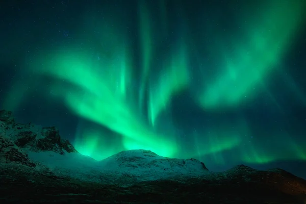 在挪威的Lofoten 在雪山上空的北极光 白雪覆盖的岩石之上的北极光 冬季风景 有极光 星空灿烂的极光 — 图库照片