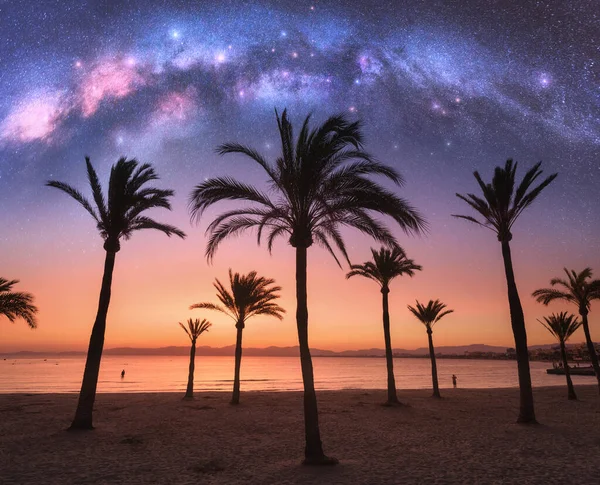 Droga Mleczna Nad Piaszczystą Plażą Palmami Nocy Lecie Krajobraz Brzegiem — Zdjęcie stockowe
