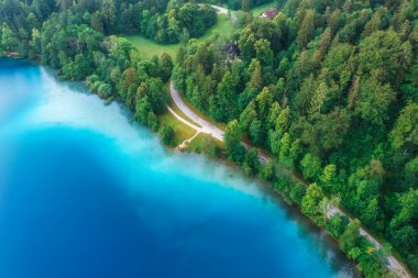 Mavi göl kenarındaki yol manzarası, yazın gündoğumunda yeşil orman. Kan gölü, Slovenya. Seyahat et. Güzel bir yol manzarası, baharda ağaçlar. Otobanlı ve deniz koylu bir manzara. Yolculuk. Doğa