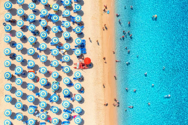 Kumlu sahildeki renkli şemsiyeler, güneşli yaz günlerinde mavi denizde yüzen insanlar. İtalya, Sardinya 'da bir tatil köyü. Turkuaz suyu olan tropik deniz manzarası. Seyahat ve tatil. Üst görünüm