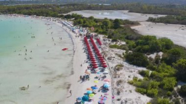 Renkli şemsiyeler, kumlu plaj, mavi denizde yüzen insanlar, güneşli yaz günlerinde yeşil ağaçlar. Sardunya, İtalya. Tropikal. Temiz gök mavisi suyu. Seyahat ve tatil. Üst İHA görünümü