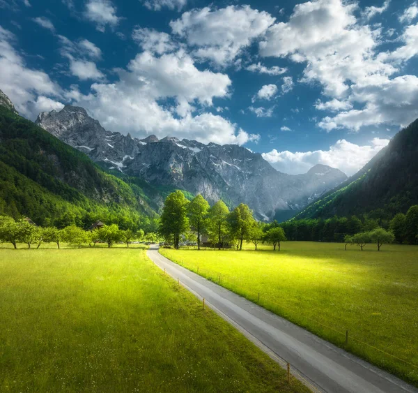 여름에는 나무들의 도로를 공중에서 수있다 시골길의 꼭대기에 슬로베니아 골짜기 — 스톡 사진
