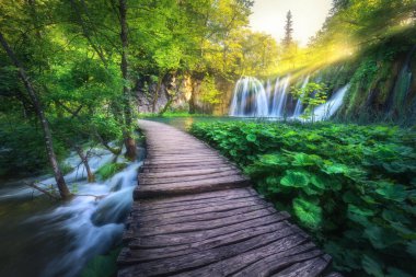 Hırvatistan 'ın Plitvice Gölleri' ndeki yeşil ormanda yaz günbatımında şelale ve ahşap patika. Çiçek açan parkta, ağaçlarda, nilüferlerde, nehirde, baharda güneş ışınlarında iz bırakan renkli bir manzara. Ormanda yol
