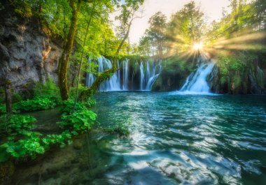 Hırvatistan 'ın Plitvice Gölleri' ndeki yeşil ormanda yaz günbatımında şelale. Sonbahar, çiçek açan park, ağaçlar, nilüferler, güneş ışınları, baharda nehir. Manzara. Ormana park et. Doğa