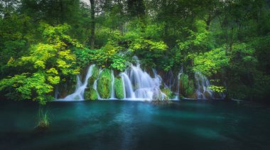 Hırvatistan 'ın Plitvice Gölleri' ndeki yeşil ormanda yaz günbatımında şelale. Sonbaharın, çiçek açan parkın, ağaçların, nilüferlerin, baharda nehrin olduğu renkli bir manzara. Manzara. Alacakaranlıkta ormana park et. Doğa