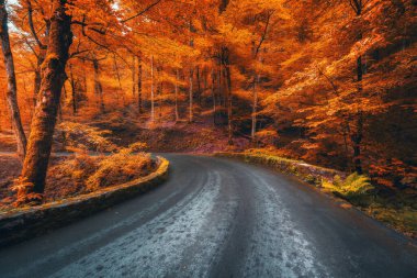 Hırvatistan 'ın Plitvice göllerindeki güzel kızıl ormanda sonbaharda gün doğumunda. Güzel dağ yolu, portakal yapraklı ağaçlar. Sonbaharda ormanda içi boş otoyol manzarası. Doğa