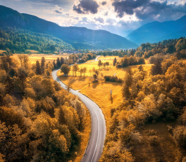 Aerial view of road in alpine meadows at sunset in autumn. Top view from drone of rural road, mountains, forest in fall. Colorful landscape with country roadway, orange trees, hills, grass in Slovenia