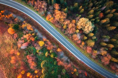 Gün batımında renkli sonbahar ormanlarındaki yol manzarası. Ormandaki dağ yolunun yukarıdan görünüşü. Yollu güzel bir manzara, Ukrayna 'da sonbaharda turuncu ve kırmızı yapraklı ağaçlar. Üst görünüm