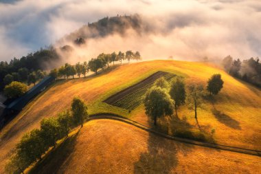 Alp çayırlarındaki ağaçların ve alçak bulutlardaki dağların havadan görünüşü yazın inanılmaz gündoğumunda. Slovenya 'da sisli yeşil çimenli ve ağaçlı tepelerin insansız hava aracı manzarası. Doğa. Dağ vadisi
