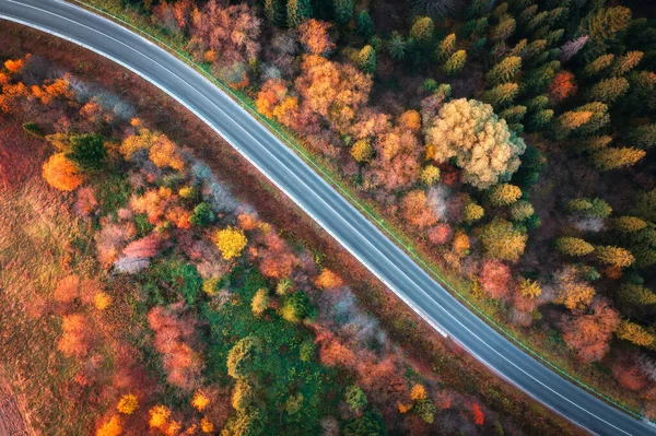 Gün batımında renkli sonbahar ormanlarındaki yol manzarası. Ormandaki dağ yolunun yukarıdan görünüşü. Yollu güzel bir manzara, Ukrayna 'da sonbaharda turuncu ve kırmızı yapraklı ağaçlar. Üst görünüm