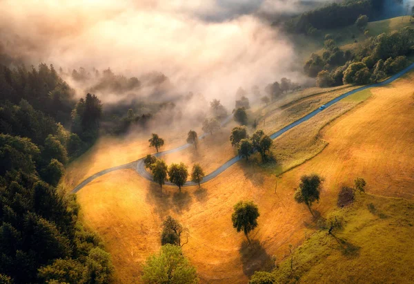 Letecký Pohled Stromy Alpských Loukách Horách Nízkých Mracích Při Úžasném — Stock fotografie