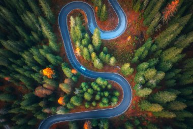 Gündoğumunda renkli sonbahar ormanlarında yılan yolunun havadan görünüşü. Dolomitler, İtalya. Ormandaki virajlı yolun en üst manzarası. Otoyolu olan güzel bir manzara, yeşil çam ağaçları, sonbaharda kırmızı yapraklar. Doğa