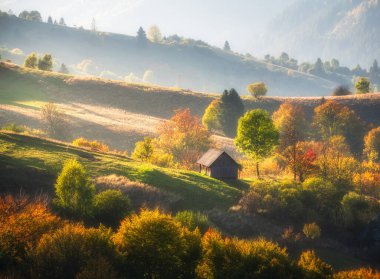 Karpat dağ vadisi, güzel tepeler, yalnız küçük ahşap ev, sonbaharda Ukrayna 'da günbatımında portakal ağaçları. Çayırlarla, ormanlarla, otlarla, sonbaharda güneş ışığıyla dolu renkli bir manzara. Doğa