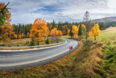 Sonbahar ormanında güzel bir yol. Boş dağ yolu, kırmızı ve turuncu yapraklı ağaçlar, Ukrayna 'da çimenler. Sonbaharda ormanın içinden geçen renkli bir manzara. Seyahat et. Yolculuk. Ulaşım