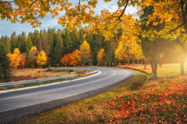 Sonbahar ormanında güzel bir yol. Boş dağ yolu, kırmızı ve turuncu yapraklı ağaçlar, Ukrayna 'da çimenler. Sonbaharda ormanın içinden geçen renkli bir manzara. Seyahat et. Yolculuk. Ulaşım