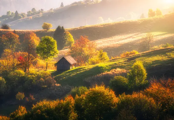Karpat dağ vadisi, güzel tepeler, yalnız küçük ahşap ev, sonbaharda Ukrayna 'da günbatımında portakal ağaçları. Çayırlarla, ormanlarla, otlarla, sonbaharda güneş ışığıyla dolu renkli kırsal alan.