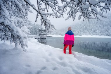 Kışın göl kenarındaki güzel karlı ormanda kırmızılı genç bir kadın. Kranjska Gora, Slovenya. Karda ağaçlarla kaplı manzara, sportif kız, patika. Sisli ormanda kar yağışı. Rüzgarlı ormanlık. Çayırdaki ağaçlar