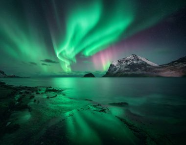 Denizin üzerinde Aurora Borealis, yıldızlı kış gecesinde karlı dağlar. Norveç, Lofoten adalarında Kuzey Işıkları. Kutup ışıklarıyla gökyüzü. Aurora, kayalık plaj, gökyüzü, suda yansıma