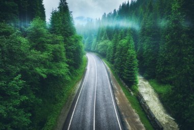 Güzel yeşil ormanlardaki hava manzarası yağmurlu yaz günlerinde alçak bulutlar. Karmaşık bir manzara, sisli yollar, çam ağaçları, Carpatian dağlarında nehir. Yolun üst manzarası. Ukrayna 'da Seyahat