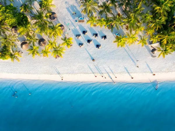 Vista Aérea Palmeras Verdes Sombrillas Playa Arena Del Océano Índico Fotos de stock libres de derechos