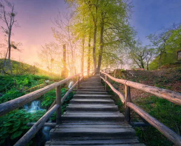 Baharda Günbatımında Ormanda Tahta Merdivenler Plitvice Gölleri Hırvatistan Çiçek Açan Telifsiz Stok Imajlar