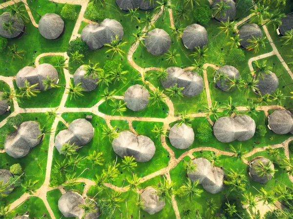 Letecký Pohled Zelené Palmy Trávu Bungalovy Pěšinu Blízko Oceánu Při Stock Obrázky