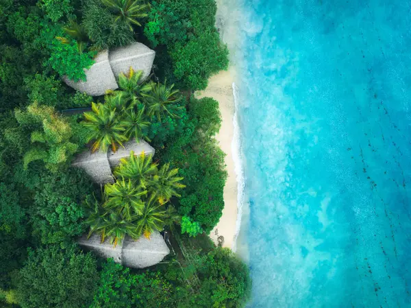 Letecký Pohled Zelené Palmy Bungalovy Bílou Písečnou Pláž Oceán Vlnami Stock Snímky