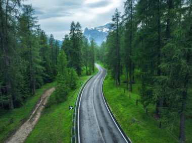 İtalya 'nın Dolomitler şehrinde yaz mevsiminde ıslak yol ve yeşil ormanın hava manzarası. Yol manzarası, ağaçlar, yağmurlu günlerde çimenler. Ormandan geçen yol. Ulaşım. Karmaşık bir manzarası var. Alpler