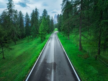 İtalya 'nın Dolomitler şehrinde yaz mevsiminde ıslak yol ve yeşil ormanın hava manzarası. Yol manzarası, ağaçlar, yağmurlu günlerde çimenler. Ormandan geçen yol. Ulaşım. Karmaşık bir manzarası var. Alpler