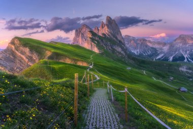 Seceda mountain at beautiful sunset in summer in Dolomites, Italy. Colorful landscape with mountain peaks, rocks, alpine meadows, trail, green grass, purple sky with clouds. Hiking in Alps. Nature clipart