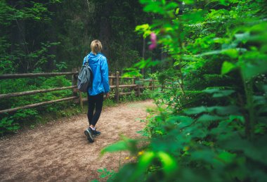 Sırt çantalı mavi ceketli bir kadın yaz aylarında yemyeşil yapraklı ağaçlar arasında orman yolunda yürüyor. Tahta çitli yolda zayıf bir kız var. Dolomitler, İtalya 'da yürüyüş ve seyahat. Doğa