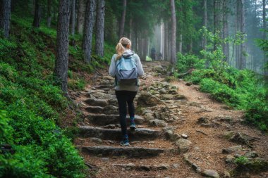 Sırt çantalı mavi ceketli bir kadın ormanda taş merdivenlerle yürüyor. Yazın sisli, yemyeşil yapraklı ağaçlar. Patikadaki sıska kız. Dolomitler, İtalya 'da yürüyüş ve yürüyüş