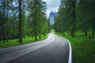 Yazın yeşil ormanda yol. Dolomitler, İtalya. Güzel dağ yolu, yemyeşil yapraklı ağaçlar, çimenler, yüksek kayalar, bulutlu mavi gökyüzü. Ormandaki boş virajlı yolda manzara. Aktarım
