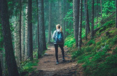 Sırt çantalı mavi ceketli kadın sisli ormanda yolda yürüyor. Yazın sisli, yemyeşil yapraklı ağaçlar. Patikadaki sıska kız. Dolomitler, İtalya 'da yürüyüş ve yürüyüş. Doğa