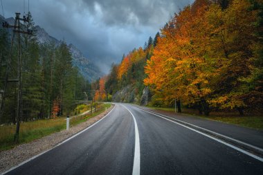 Altın sonbaharda yol ve güzel kırmızı ağaçlar. Boş dağ yolu, kırmızı ve turuncu yapraklı orman. Dağlarda ıslak yollar, sonbaharda bulutlu gökyüzü. Seyahat et. Yolculuk. Slovenya