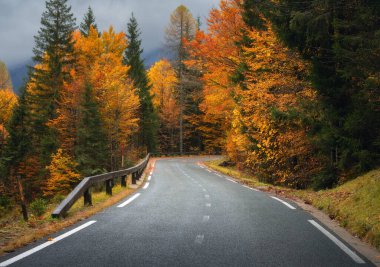 Altın sonbaharda güzel ormanda yol. Boş dağ yolu, yağmurda kırmızı ve turuncu yapraklı ağaçlar. Sonbahar mevsiminde ıslak yollarla dolu renkli bir manzara. Seyahat et. Yolculuk. Ulaşım