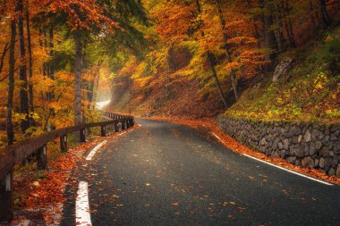 Altın sonbaharda güzel ormanda düşen yapraklarla dolu bir yol. Boş dağ yolu, yağmurda kırmızı ve turuncu yapraklı ağaçlar. Sonbahar mevsiminde ıslak yollarla dolu renkli bir manzara. Ulaşım