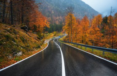 Altın sonbaharda güzel ormanda yol. Boş dağ yolu, yağmurda kırmızı ve turuncu yapraklı ağaçlar. Sonbaharda sisli ormanlarda ıslak yollarla dolu renkli bir manzara. Seyahat et. Yolculuk. Ulaşım